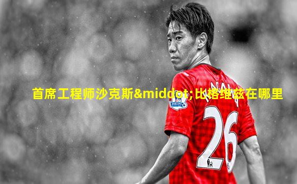 首席工程师沙克斯·比格维兹在哪里