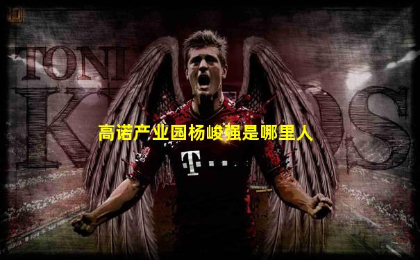 高诺产业园杨峻强是哪里人