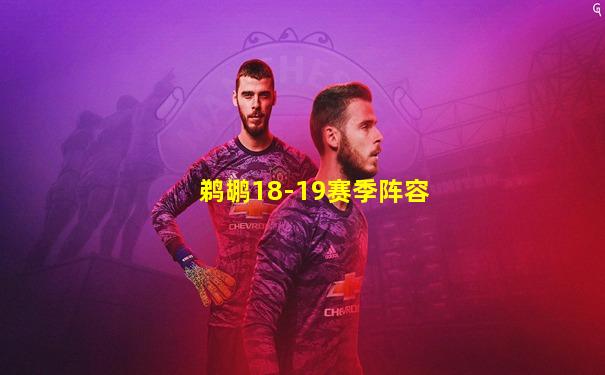 鹈鹕18-19赛季阵容